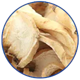 PANAX GINSENG ROOT