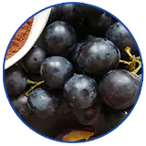 RESVERATROL
