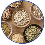 FOLIC ACID