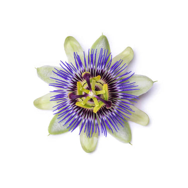 Serelax contains Passion Flower as its ingredients
