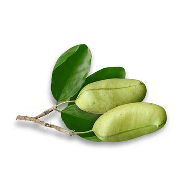 Somulin contains Griffonis Sinensis Leaf as its ingredients